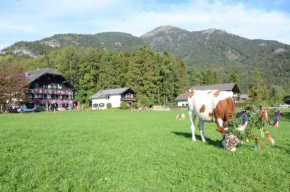 Im Ramsen, Sankt Wolfgang Im Salzkammergut, Österreich
